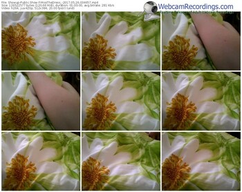 showup-missthedress_-webcam-show-05_26_2017-03_46_57