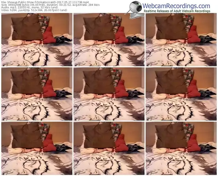 showup-dzikakocicahd-webcam-show-05_27_2017-11_17_38