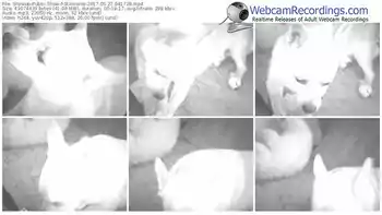 showup-sumienie-webcam-show-05_27_2017-04_17_28