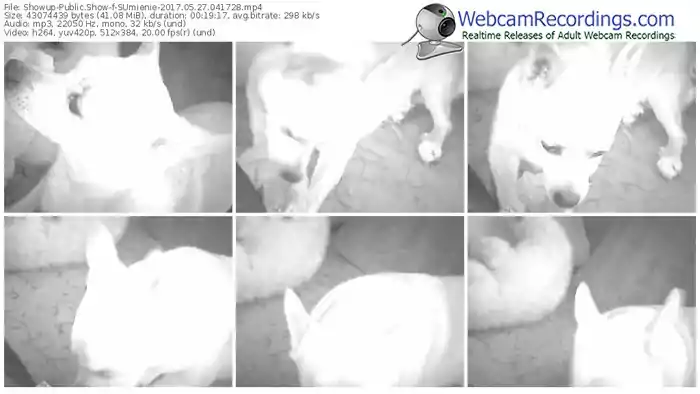 showup-sumienie-webcam-show-05_27_2017-04_17_28