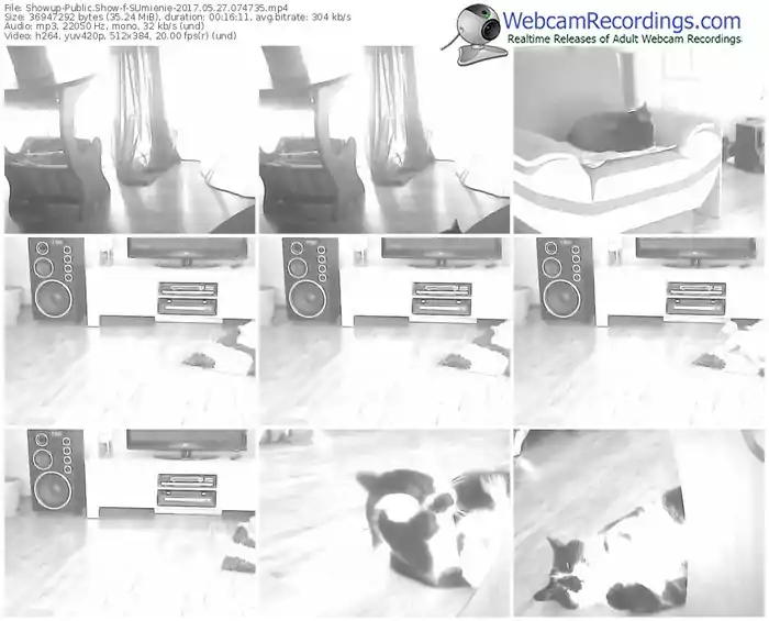 showup-sumienie-webcam-show-05_27_2017-07_47_35