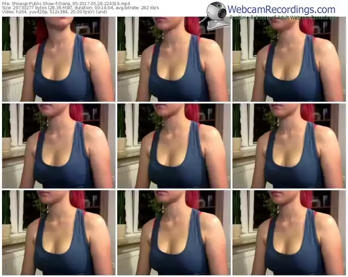 showup-diana_95-webcam-show-05_28_2017-22_43_19