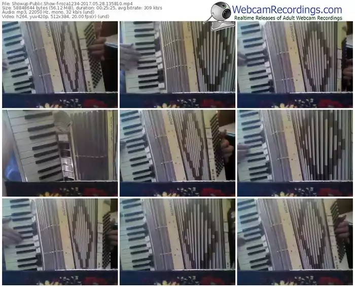 showup-roza1234-webcam-show-05_28_2017-13_58_10