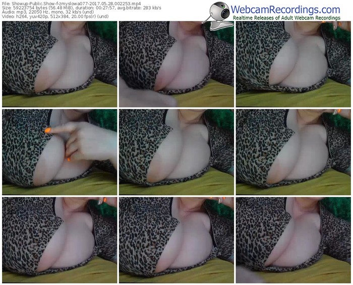 showup-zmyslowa077-webcam-show-05_28_2017-00_22_53