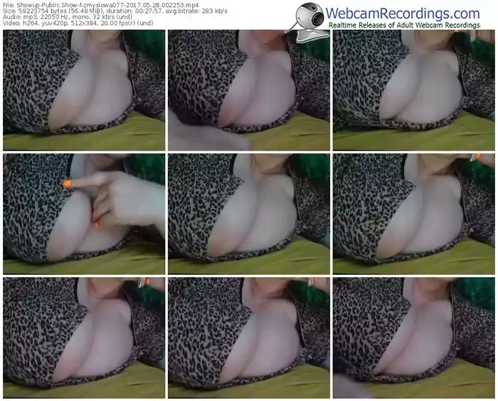 showup-zmyslowa077-webcam-show-05_28_2017-00_22_53