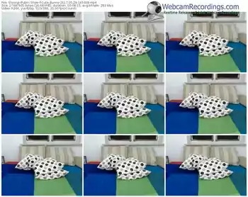 showup-cute_bunny-webcam-show-05_29_2017-14_53_38