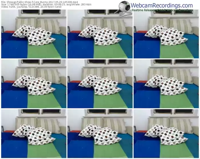 showup-cute_bunny-webcam-show-05_29_2017-14_53_38