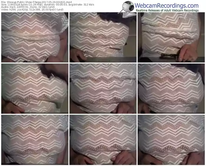 showup-taiga-webcam-show-05_29_2017-00_18_21