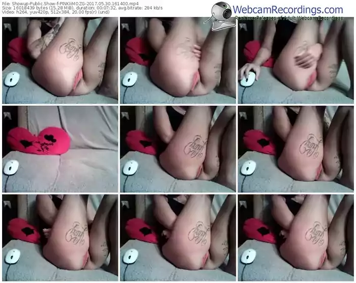 showup-pinkiimozg-webcam-show-05_30_2017-16_14_00