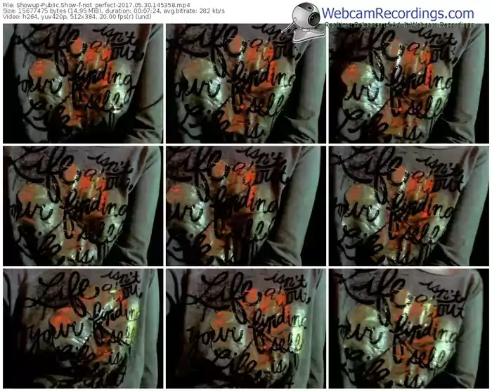 showup-not_perfect-webcam-show-05_30_2017-14_53_58