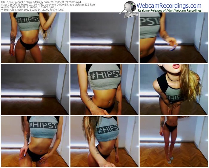 showup-mini_mouse-webcam-show-05_31_2017-21_29_32