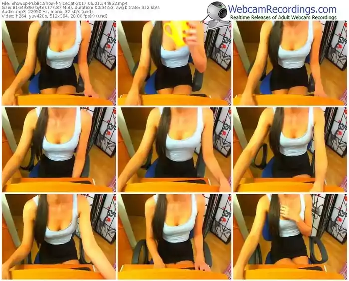 showup-nicecat-webcam-show-06_01_2017-14_49_52