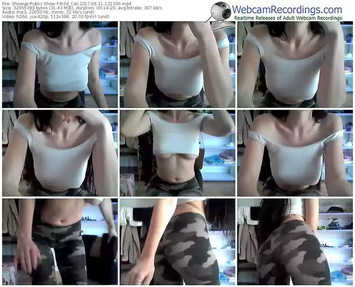 showup-wild_cat-webcam-show-06_11_2017-12_13_09