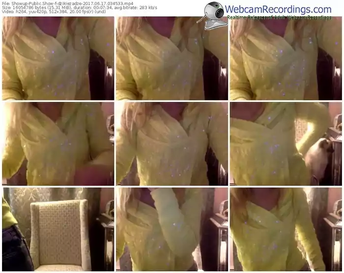 showup-dzikiezadze-webcam-show-06_17_2017-03_45_33