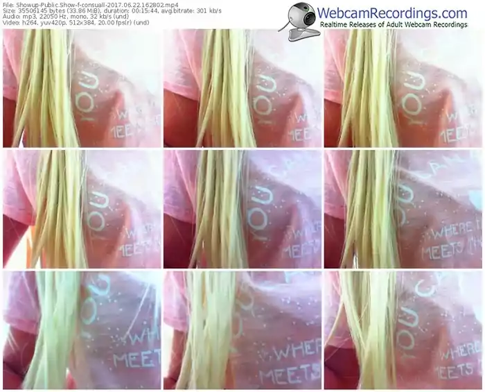 showup-consuall-webcam-show-06_22_2017-16_28_02