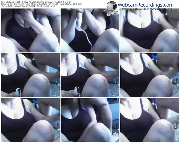 showup-parkadlapary-webcam-show-06_22_2017-10_37_55