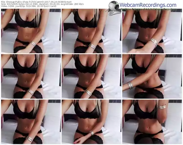 showup-chilicamhd-webcam-show-06_24_2017-09_38_49