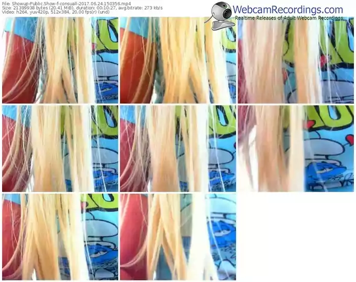 showup-consuall-webcam-show-06_24_2017-15_03_56