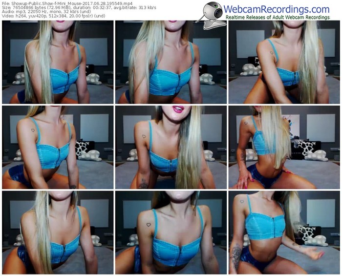 showup-mini_mouse-webcam-show-06_28_2017-19_55_49