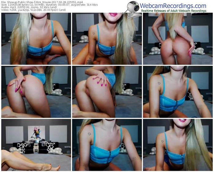 showup-mini_mouse-webcam-show-06_28_2017-22_55_51