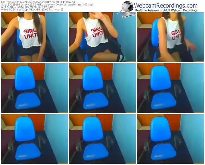 showup-nicecat-webcam-show-06_28_2017-11_45_39