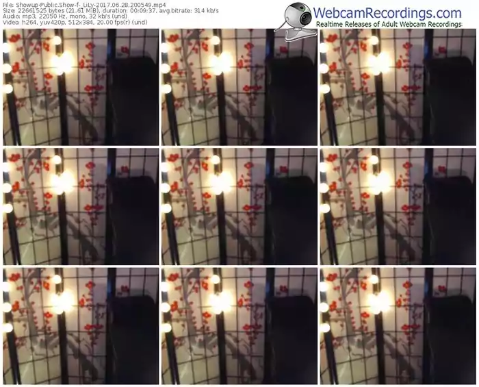 showup-_lily-webcam-show-06_28_2017-20_05_49