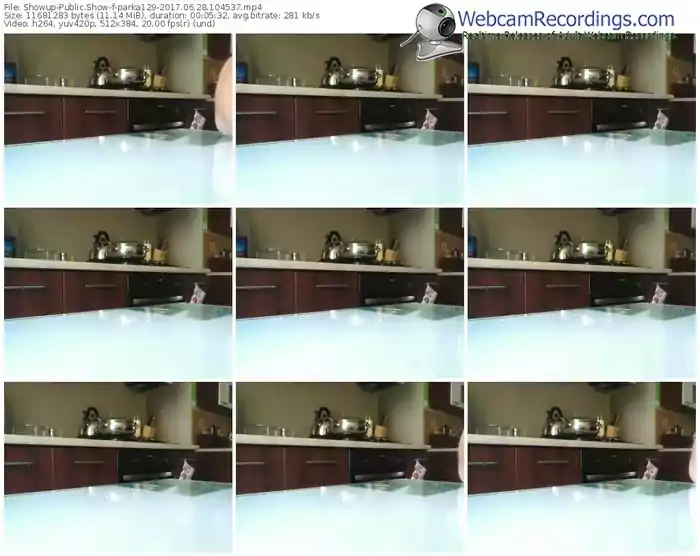 showup-parka129-webcam-show-06_28_2017-10_45_37