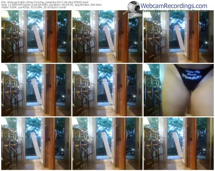 showup-zocha_zosienka-webcam-show-06_28_2017-16_55_45