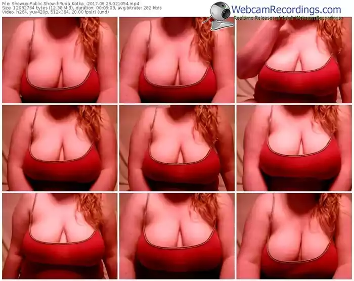 showup-ruda_kotka_-webcam-show-06_29_2017-02_10_54