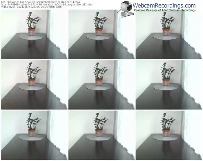 showup-blackbitch30-webcam-show-07_04_2017-18_23_14