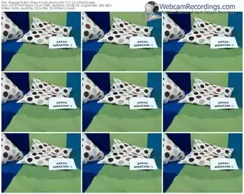 showup-cute_bunny-webcam-show-07_12_2017-13_31_26