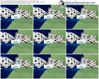 showup-cute_bunny-webcam-show-07_14_2017-11_41_57