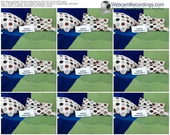 showup-cute_bunny-webcam-show-07_14_2017-11_41_57