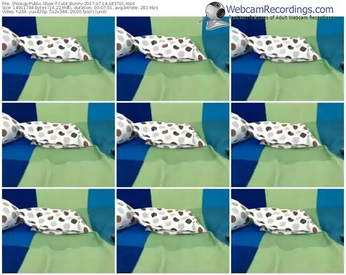 showup-cute_bunny-webcam-show-07_14_2017-18_37_01