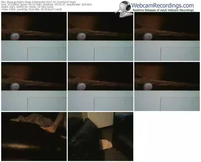 showup-silence00-webcam-show-07_23_2017-04_15_37