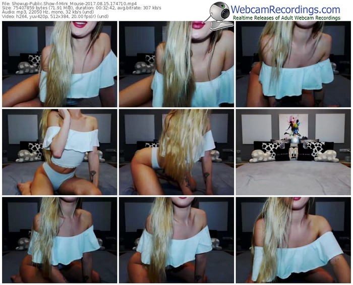 showup-mini_mouse-webcam-show-08_15_2017-17_47_10