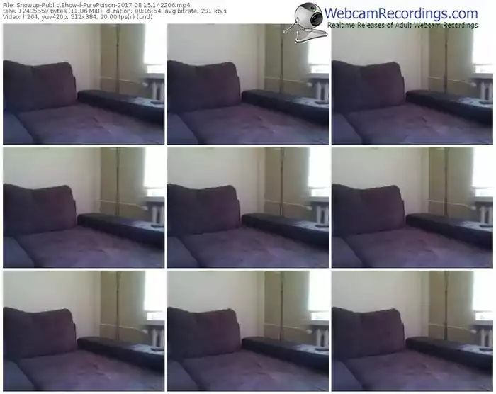 showup-purepoison-webcam-show-08_15_2017-14_22_06