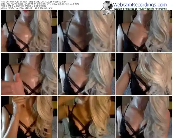 showup-stopkikitty-webcam-show-08_15_2017-00_56_51