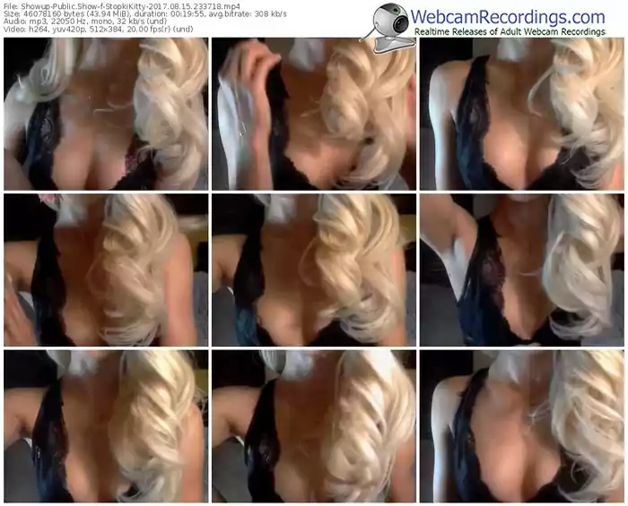 showup-stopkikitty-webcam-show-08_15_2017-23_37_18