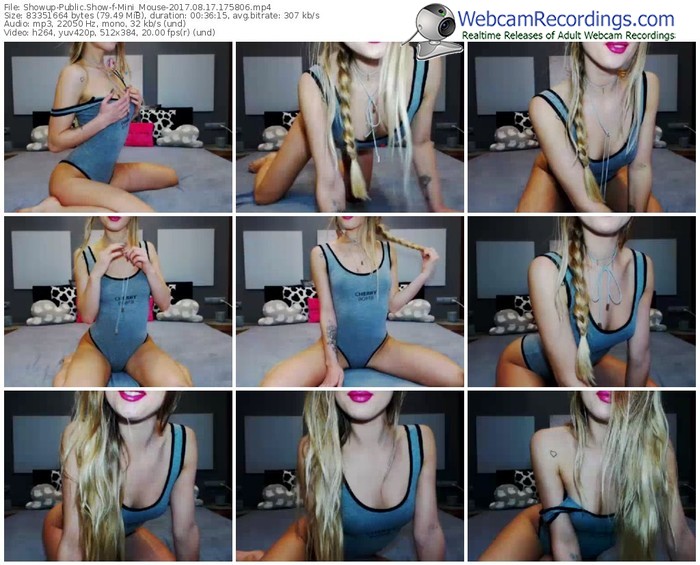 showup-mini_mouse-webcam-show-08_17_2017-17_58_06