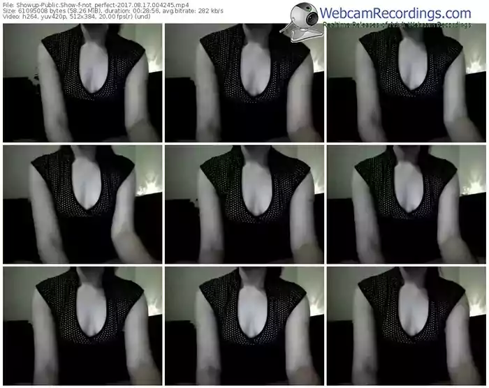 showup-not_perfect-webcam-show-08_17_2017-00_42_45