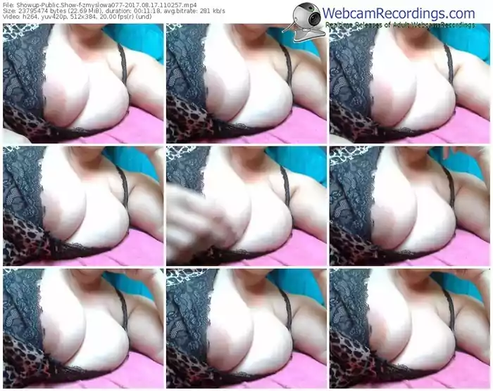 showup-zmyslowa077-webcam-show-08_17_2017-11_02_57