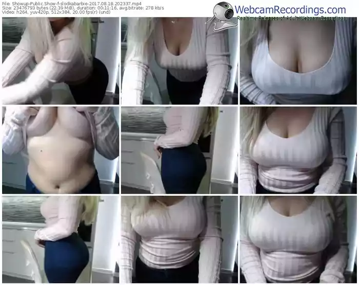 showup-slodkabarbie-webcam-show-08_18_2017-20_23_37