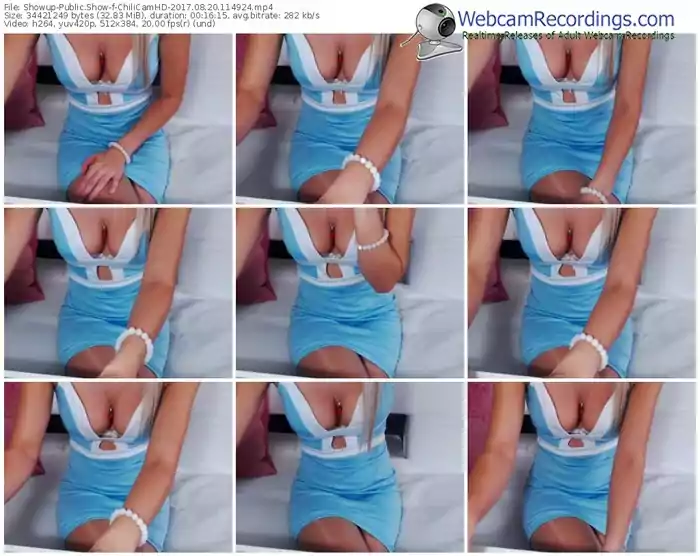 showup-chilicamhd-webcam-show-08_20_2017-11_49_24