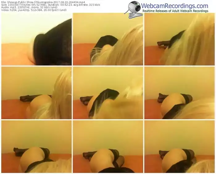showup-fikusnapipka-webcam-show-08_20_2017-20_44_34
