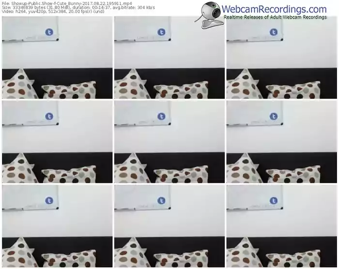 showup-cute_bunny-webcam-show-08_22_2017-19_59_11