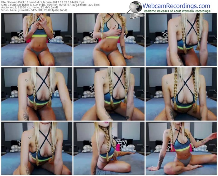 showup-mini_mouse-webcam-show-08_23_2017-13_44_29