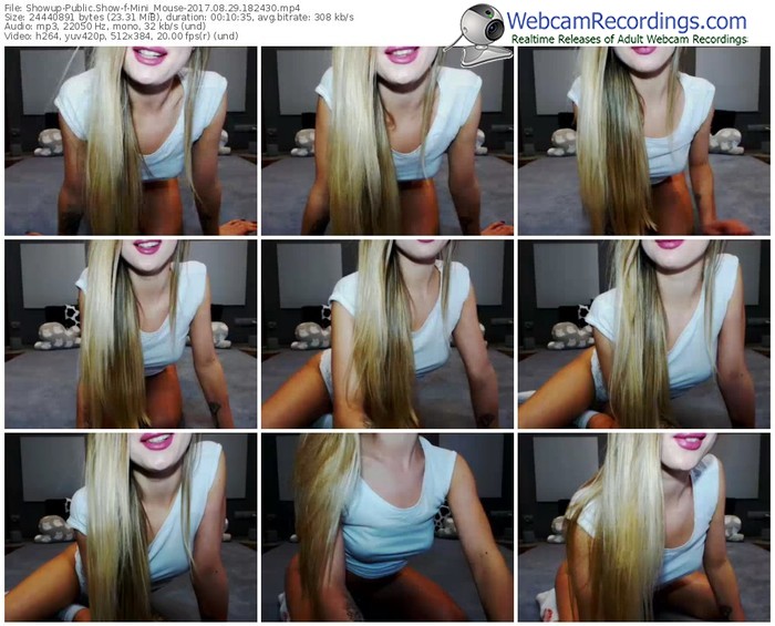 showup-mini_mouse-webcam-show-08_29_2017-18_24_30