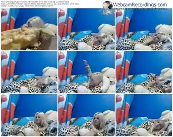 showup-kocurek272-webcam-show-09_04_2017-23_27_08