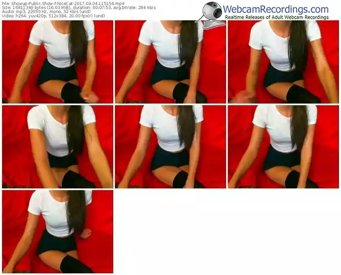 showup-nicecat-webcam-show-09_04_2017-11_51_56